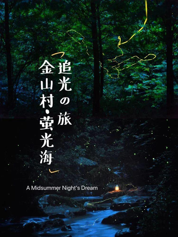 混乱特工