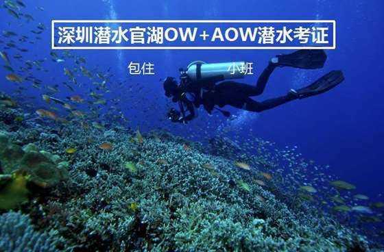 红豆既能清心火、又能补血气，还能提高免疫力，怎么吃效果最好？